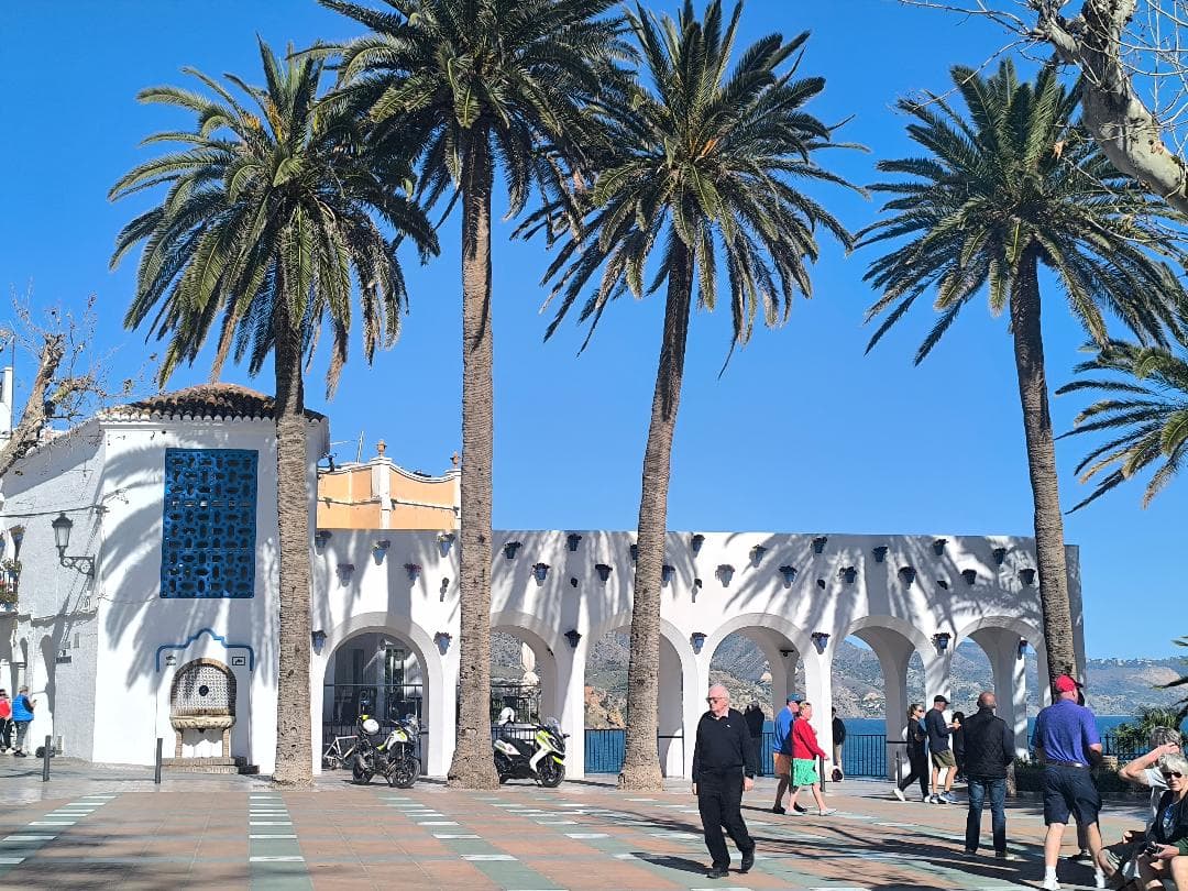 Palmeras altas en una plaza soleada con edificios blancos, arcos y gente paseando.
